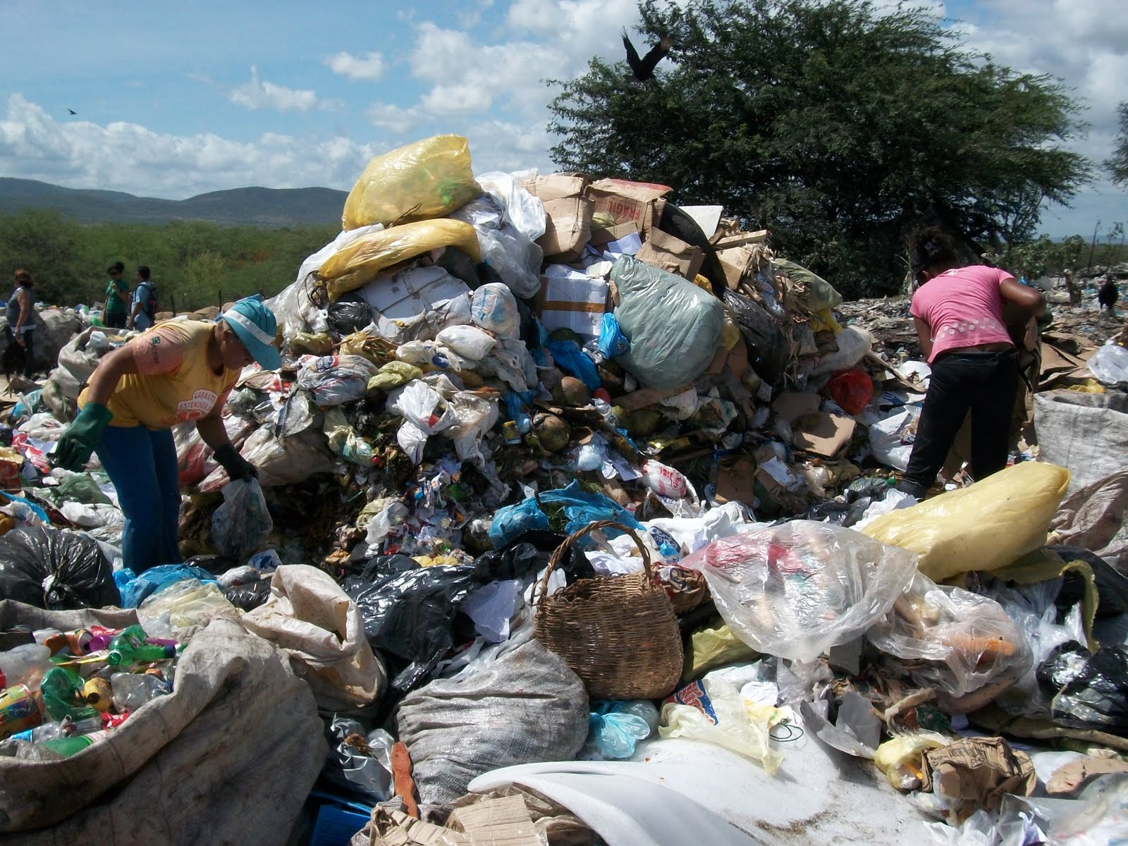 Resultado de imagem para JACOBINA COLETA SELETIVA DE LIXO