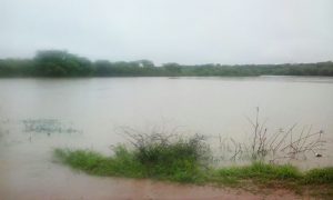 Resultado de imagem para açude lages do batata