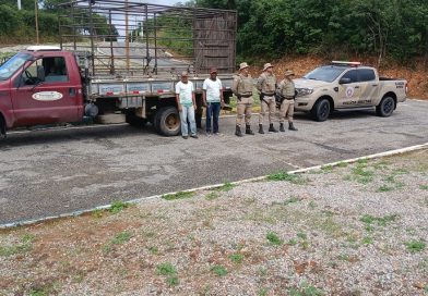 Batalhão de Polícia Rodoviária realiza Projeto Pista Não é Pasto com ações educativas em Jacobina