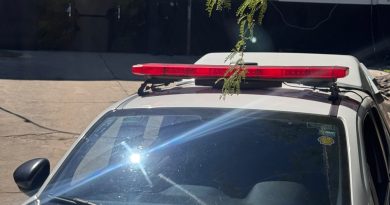 Guarda Municipal prende mulher em flagrante após furto em loja de departamentos em Jacobina
