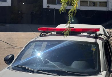 Guarda Municipal prende mulher em flagrante após furto em loja de departamentos em Jacobina