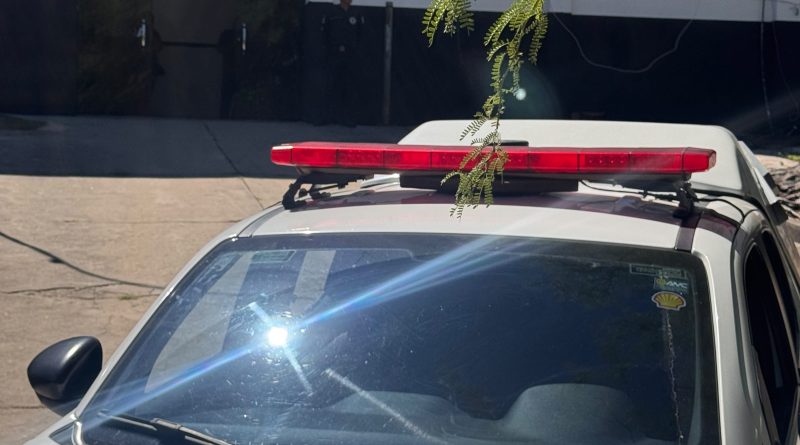Guarda Municipal prende mulher em flagrante após furto em loja de departamentos em Jacobina
