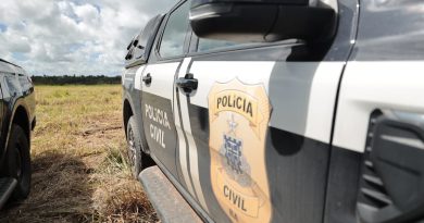 Polícia Civil apreende cerca de uma tonelada e meia de maconha em Morro do Chapéu