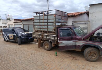 Polícia Civil recupera caminhonete roubada e descobre possível desmanche clandestino em Mairi