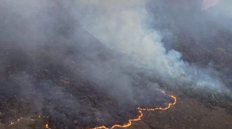 Incêndio atinge serra na divisa entre Jacobina e Caém e mobiliza atenção dos Bombeiros