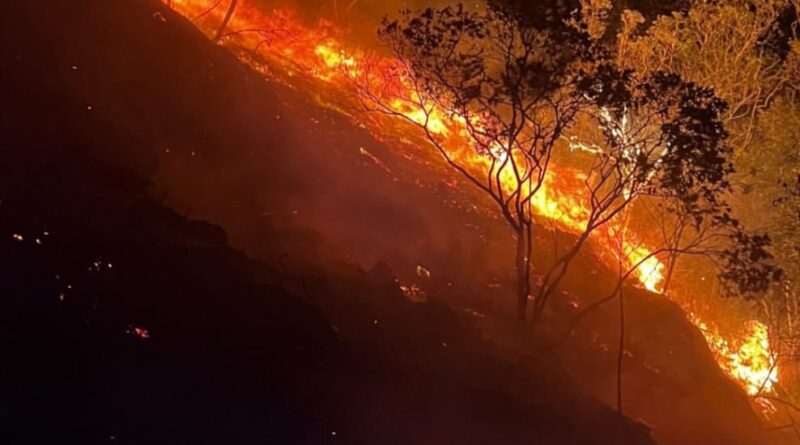 Voluntários reforçam combate a incêndios em serras de Jacobina nesta quinta-feira