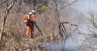 Maria Marighella se solidariza com famílias atingidas por incêndio entre Caém e Jacobina e defende reforço às brigadas comunitárias