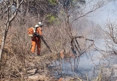 Maria Marighella se solidariza com famílias atingidas por incêndio entre Caém e Jacobina e defende reforço às brigadas comunitárias